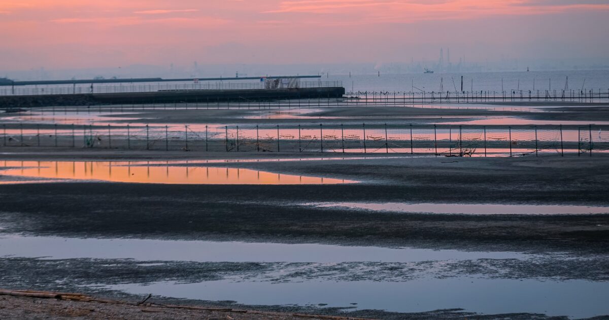 夕焼けに染まる干潟と海辺の静かな風景