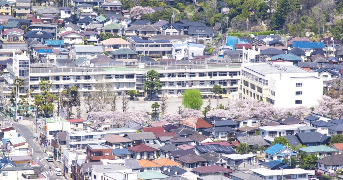 住宅街と学校施設周辺に咲く桜並木の春の風景