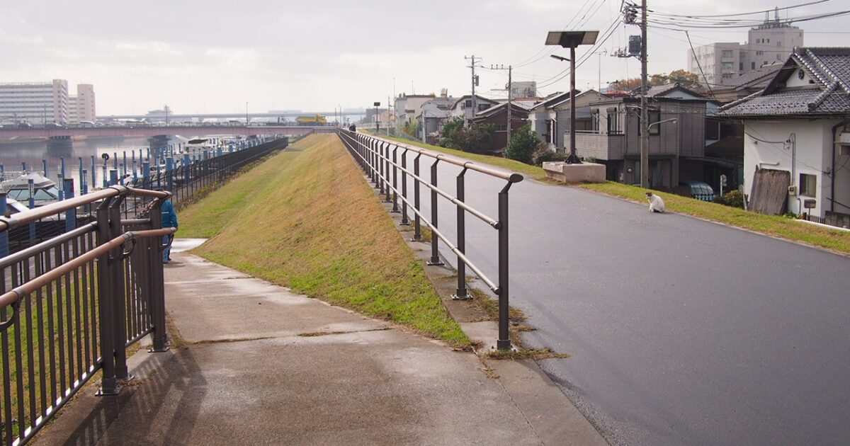 川沿いの堤防道路と住宅街に佇む猫のある風景