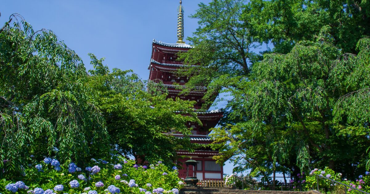紫陽花と緑に囲まれた五重塔のある寺院風景
