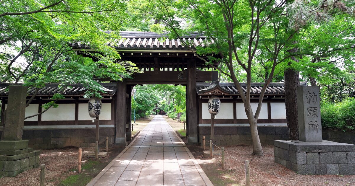 緑に囲まれた寺院の山門と静かな参道