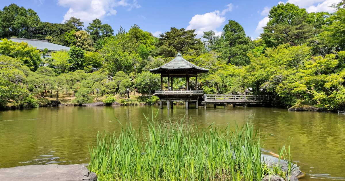 日本庭園の池に浮かぶ東屋と緑豊かな景観